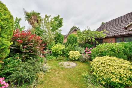 North Town Moor, Maidenhead, Image 9
