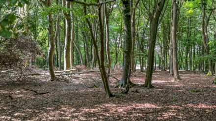 Stoke Row Road, Henley On Thames, Image 4