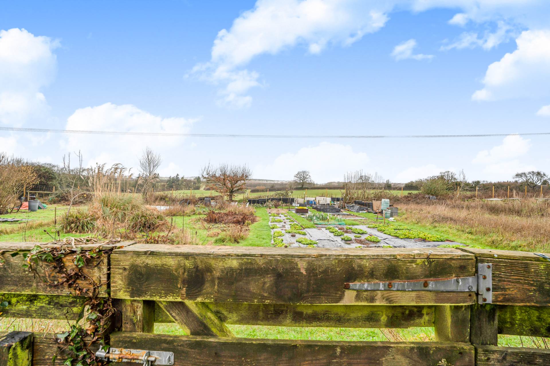 The Ridgeway, Nettlebed, Image 17