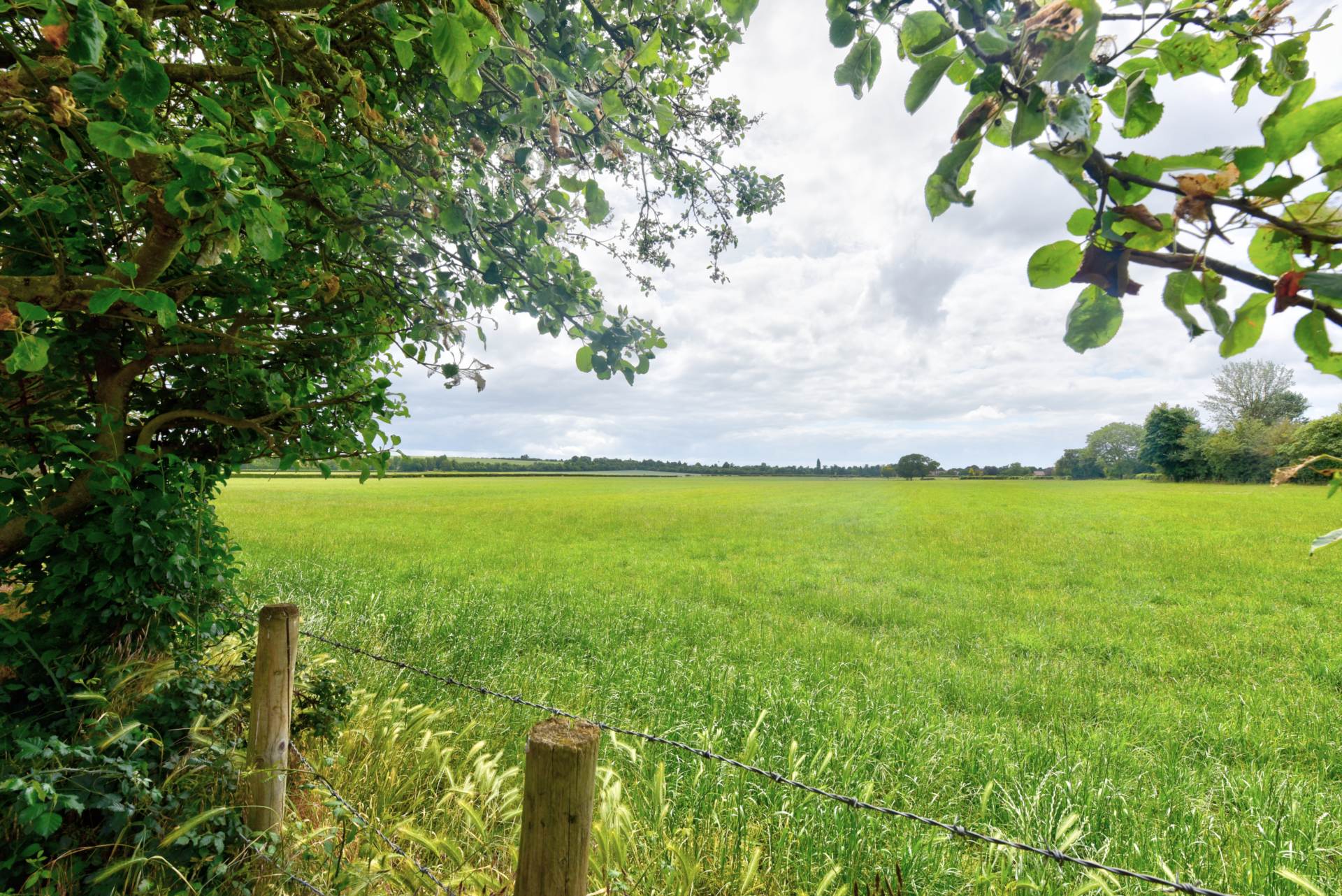 Thames Mead, Crowmarsh Gifford, Image 12