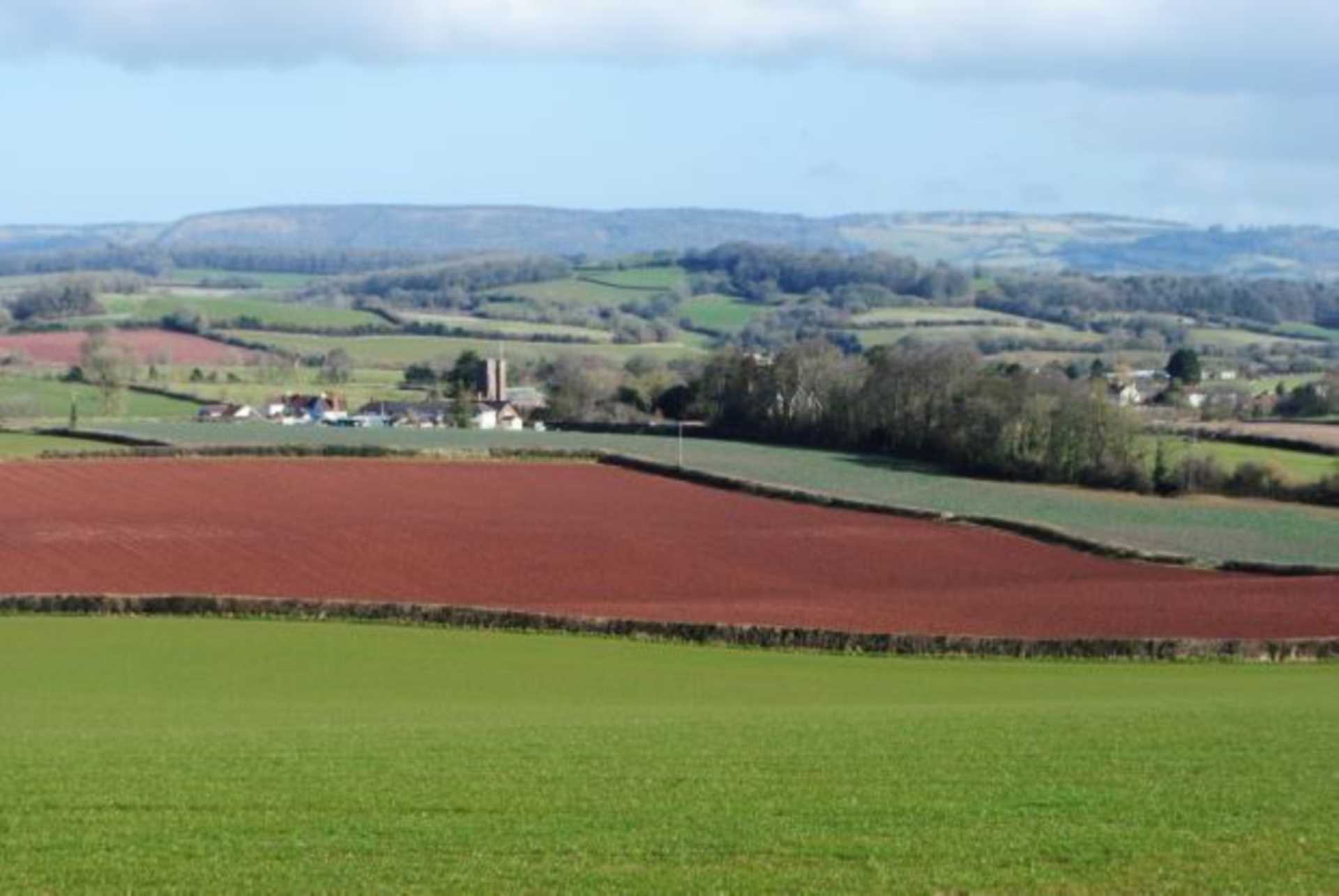 Fitzhead, Image 2