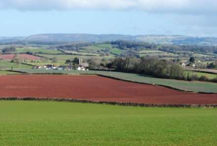 Fitzhead, Image 2
