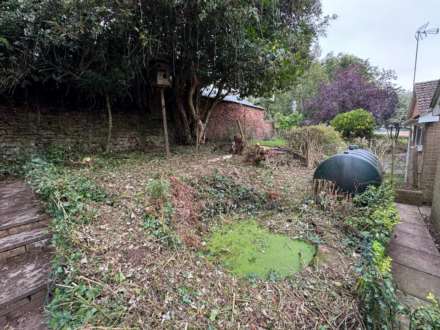 Fitzhead, Image 20