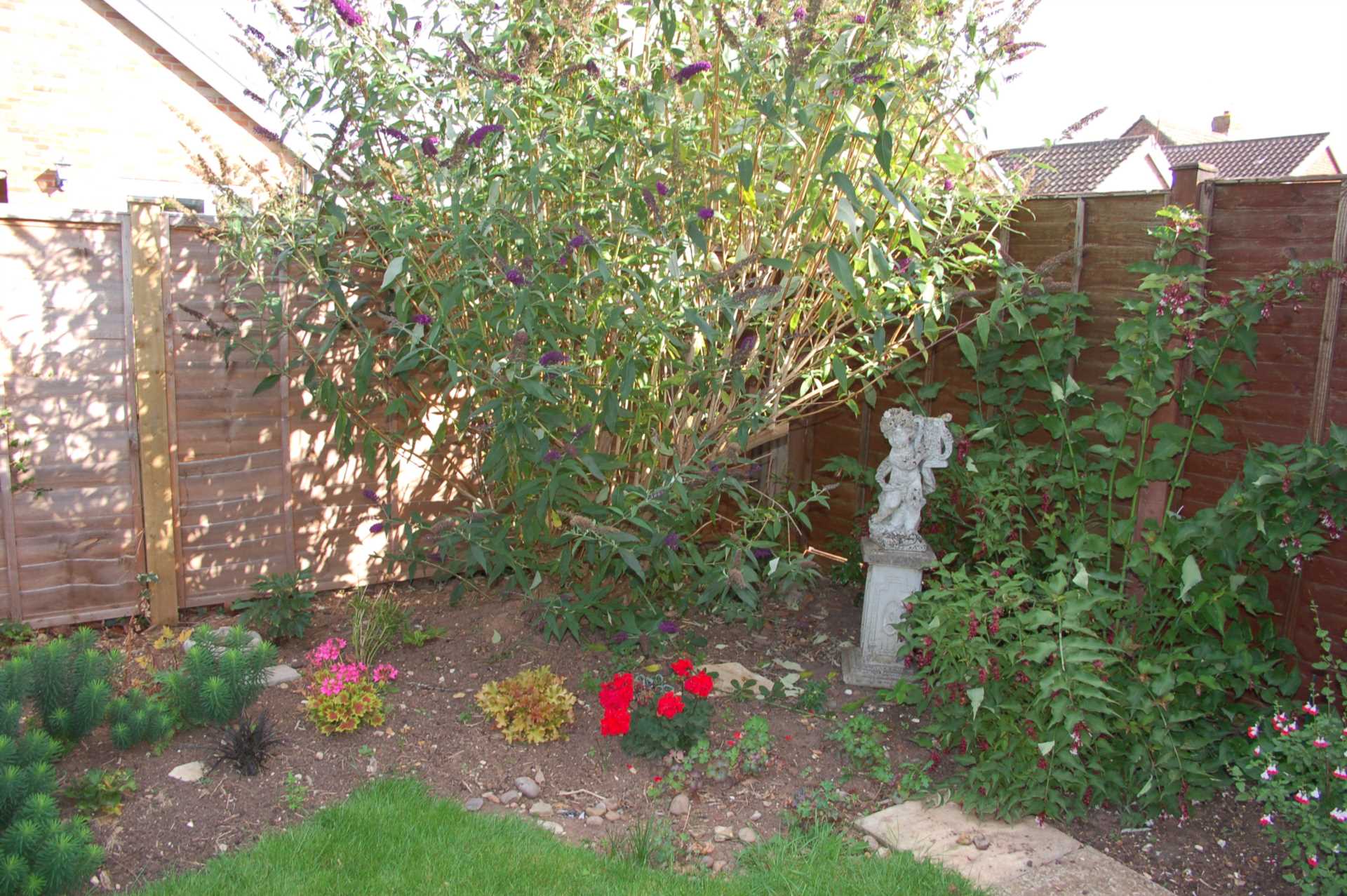 Wiltshire Close,, Image 20