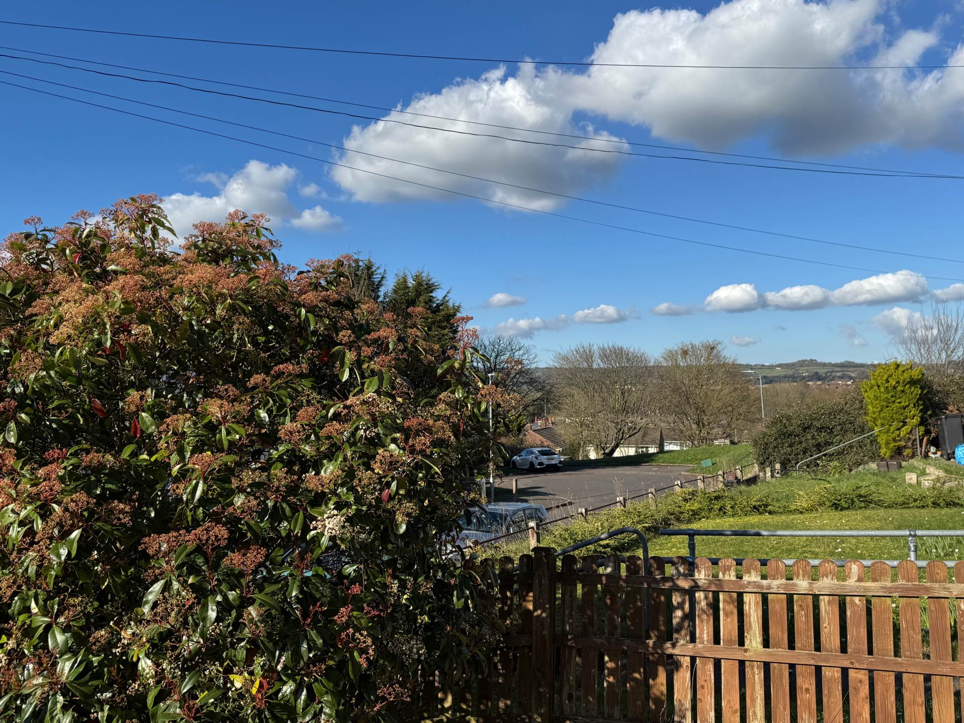 Blenheim Road, Taunton, Image 9