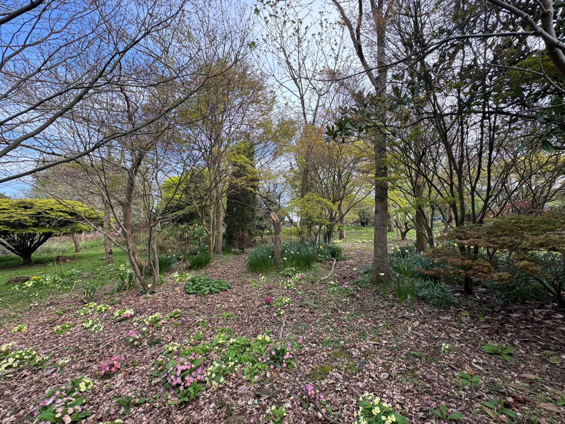 Greenway, Monkton Heathfield, Image 18
