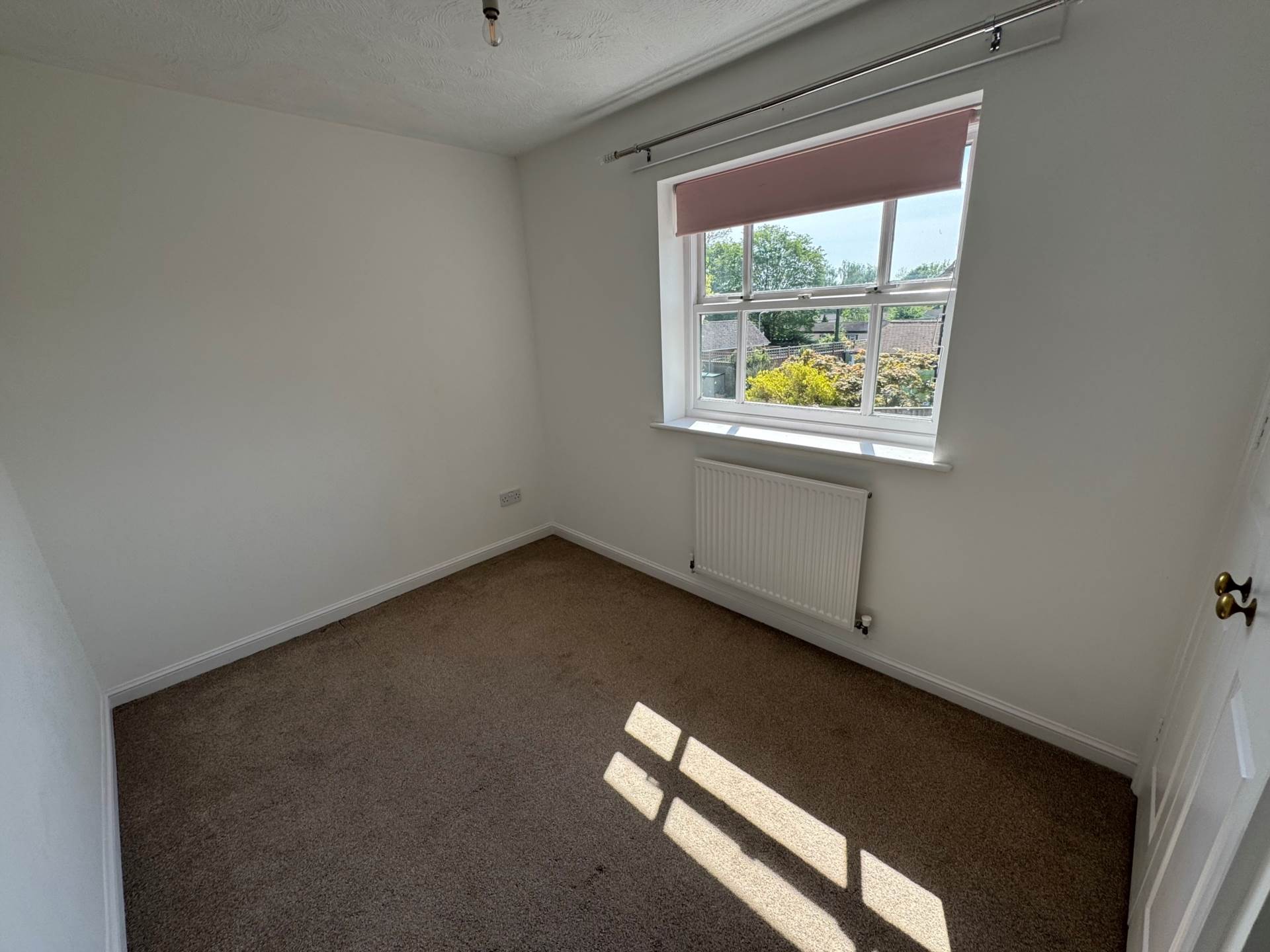 St Quintins Park, Taunton, Image 13