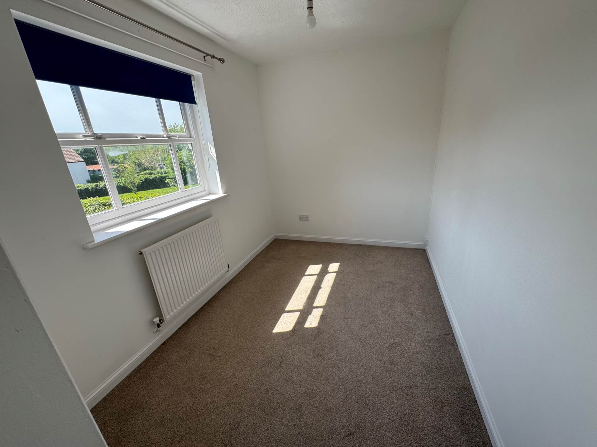 St Quintins Park, Taunton, Image 14