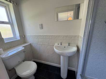 St Quintins Park, Taunton, Image 11