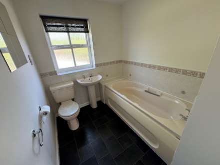 St Quintins Park, Taunton, Image 15