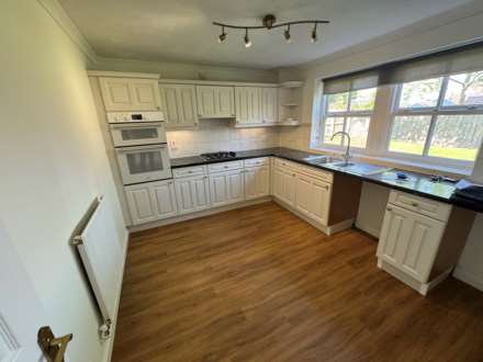 St Quintins Park, Taunton, Image 6