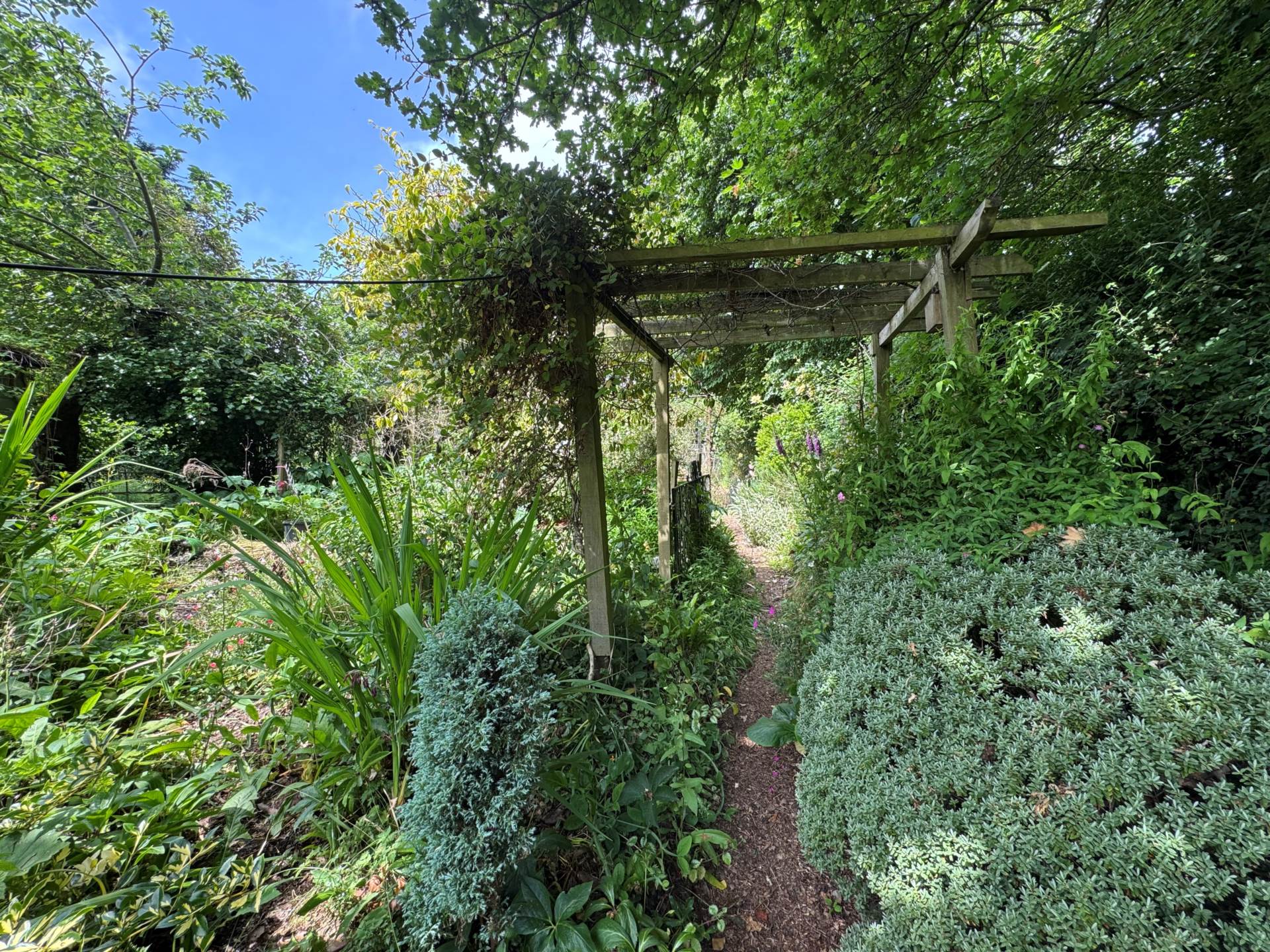 Cheddon Fitzpaine, Image 17