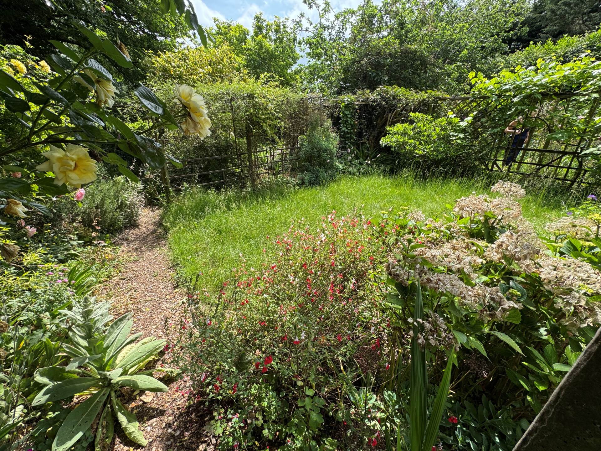 Cheddon Fitzpaine, Image 18