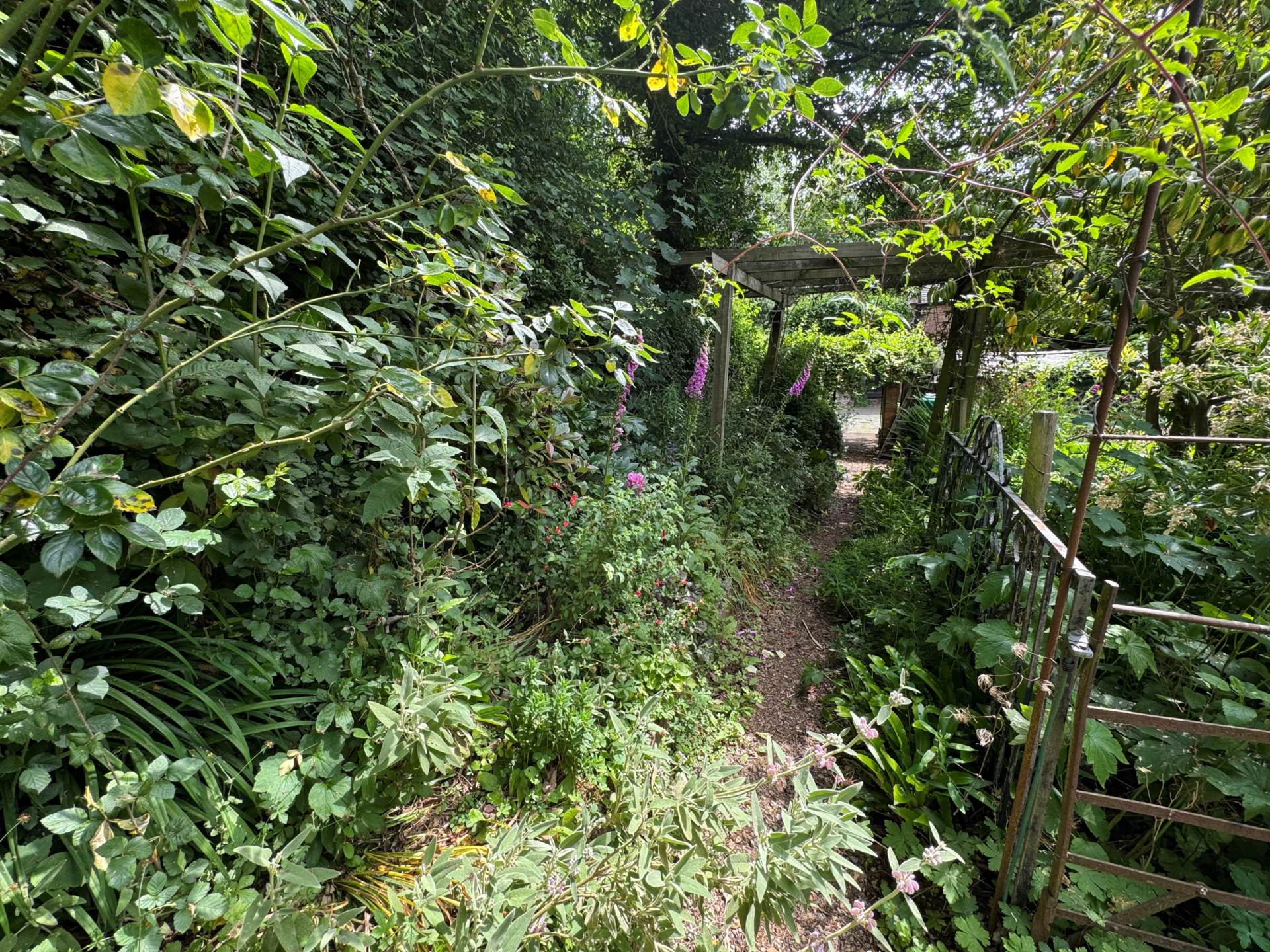 Cheddon Fitzpaine, Image 19