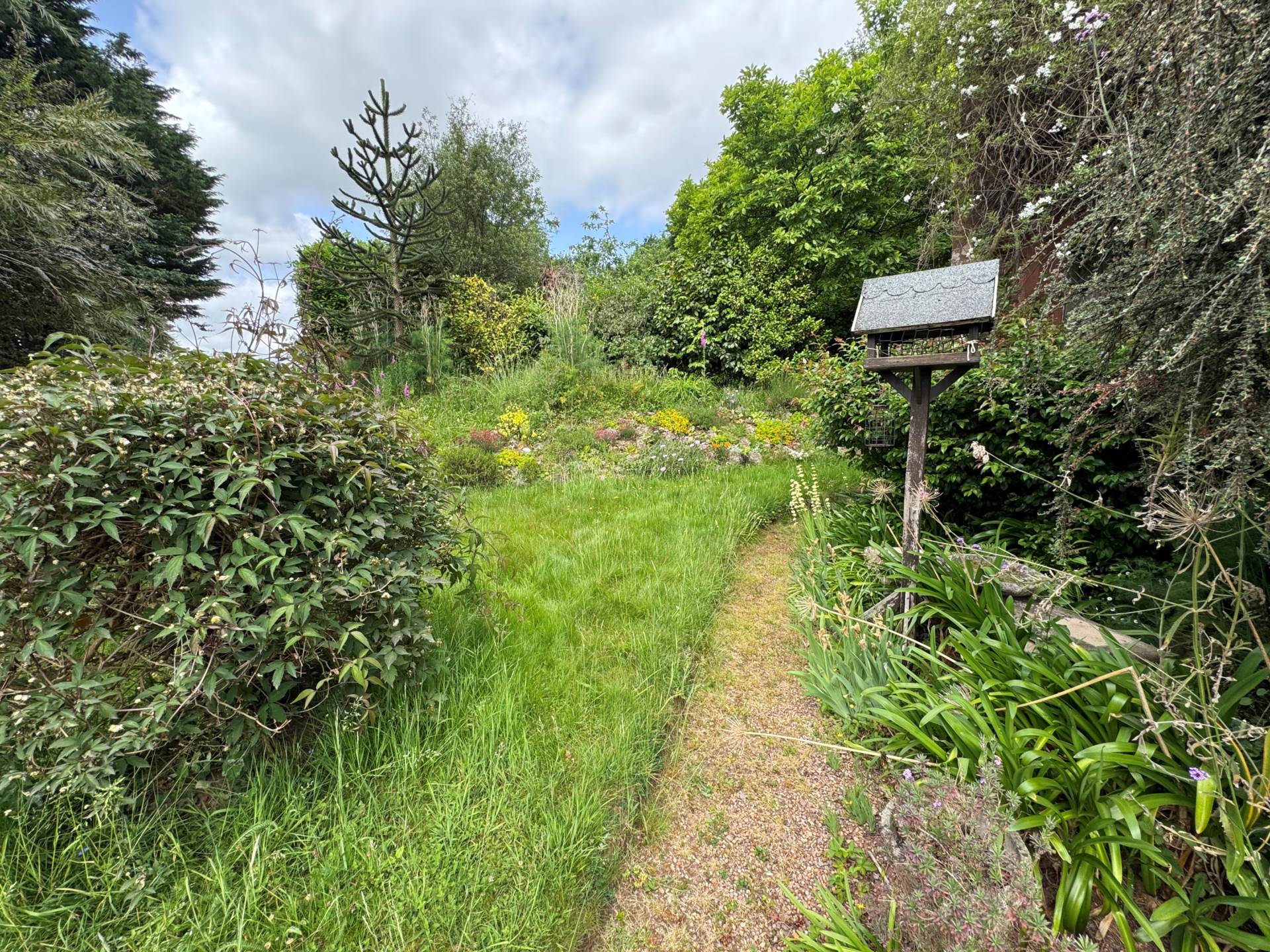 Cheddon Fitzpaine, Image 20