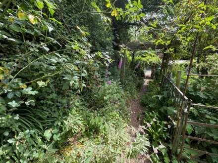 Cheddon Fitzpaine, Image 19
