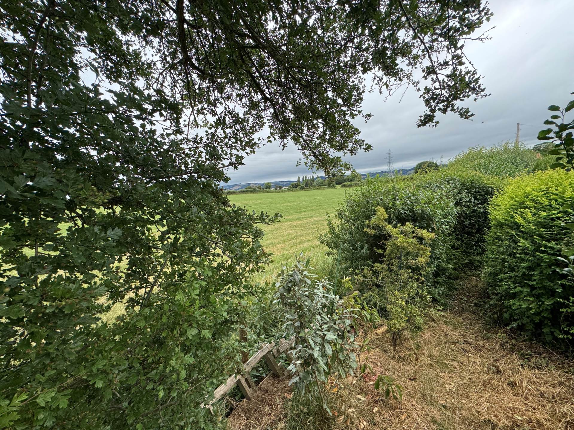 Sandere Close, Taunton, Image 19