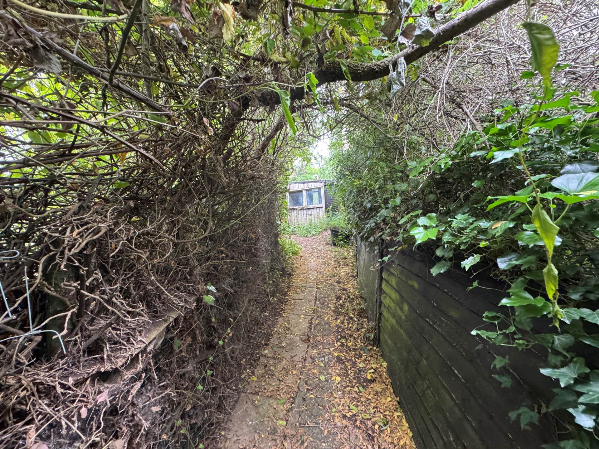 Greenway, Thurlbear, Image 10