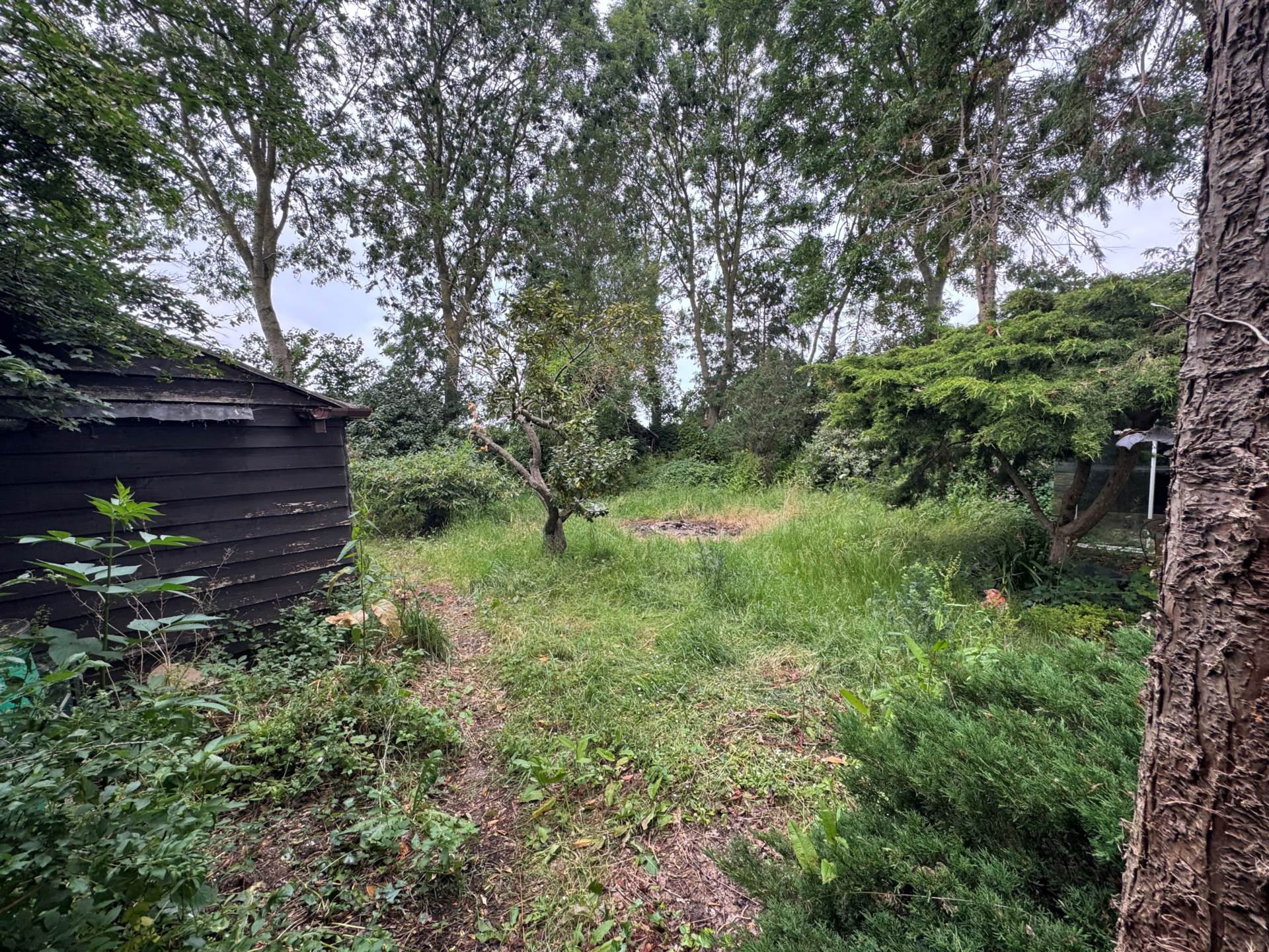 Greenway, Thurlbear, Image 11