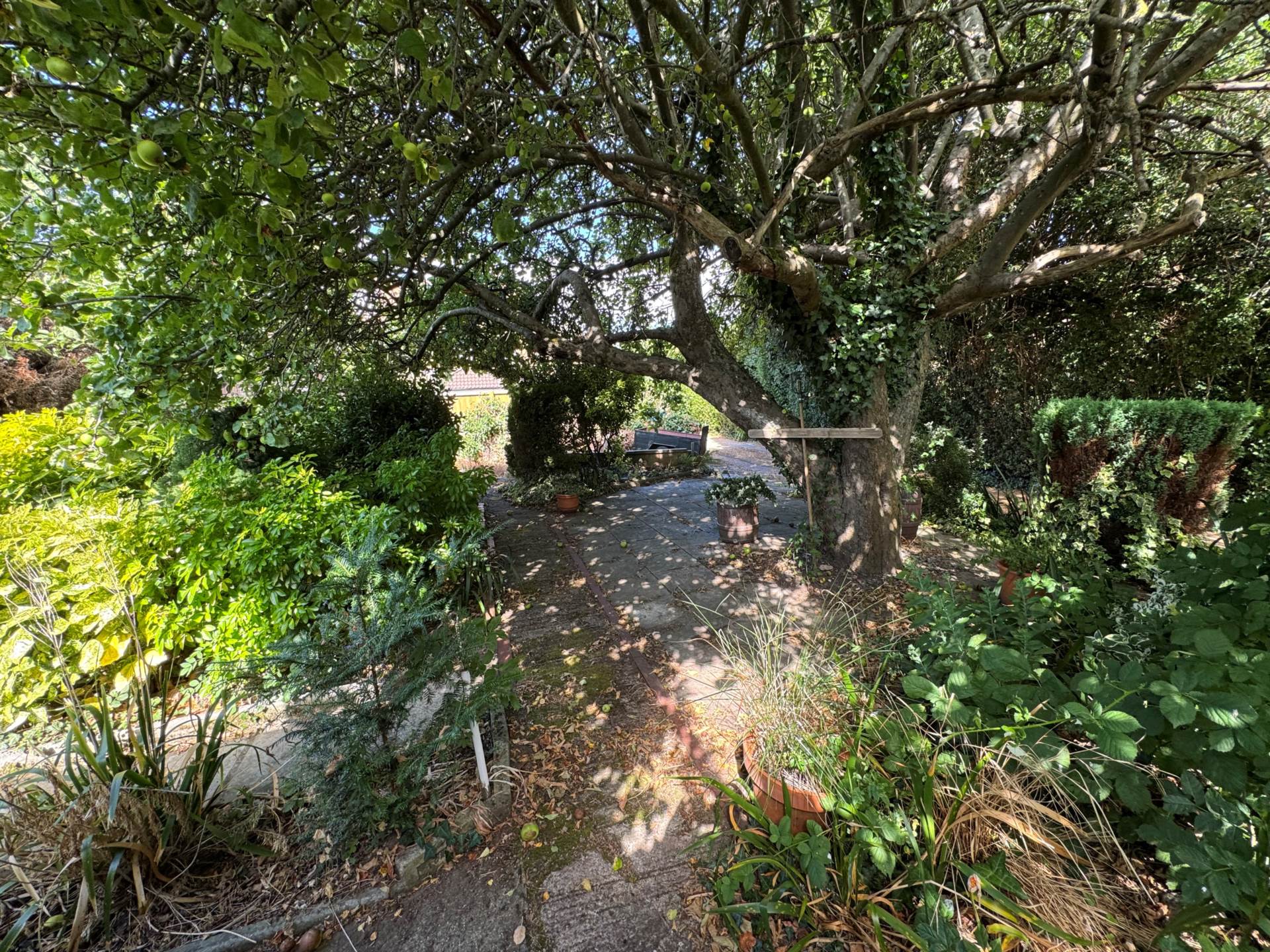 Staplegrove Road, Taunton, Image 19