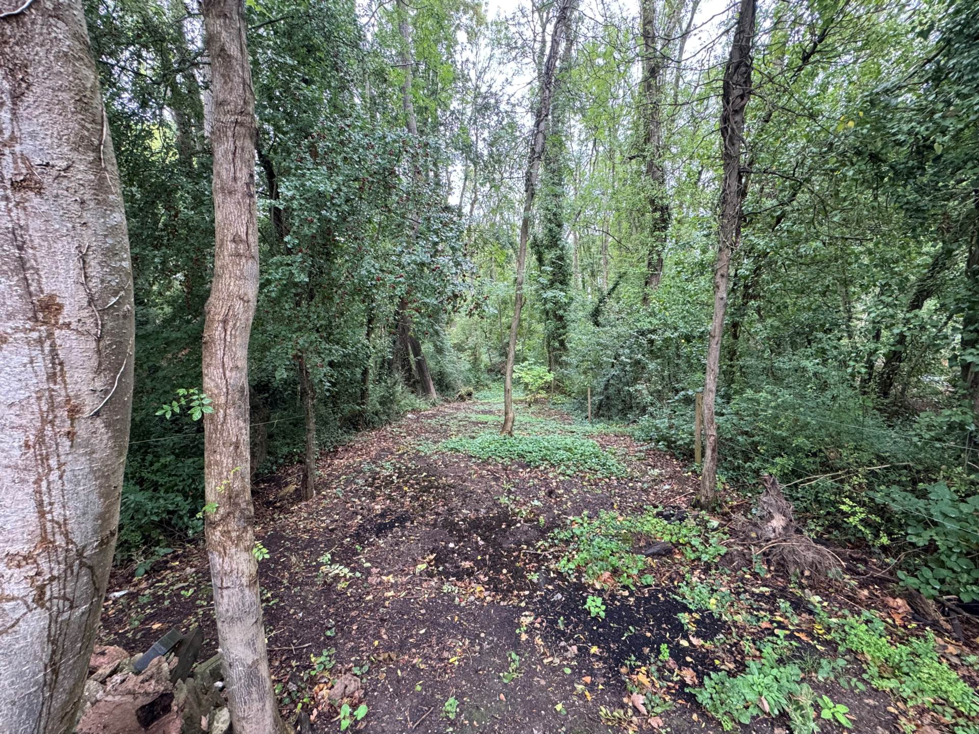 Greenway, Taunton, Image 13