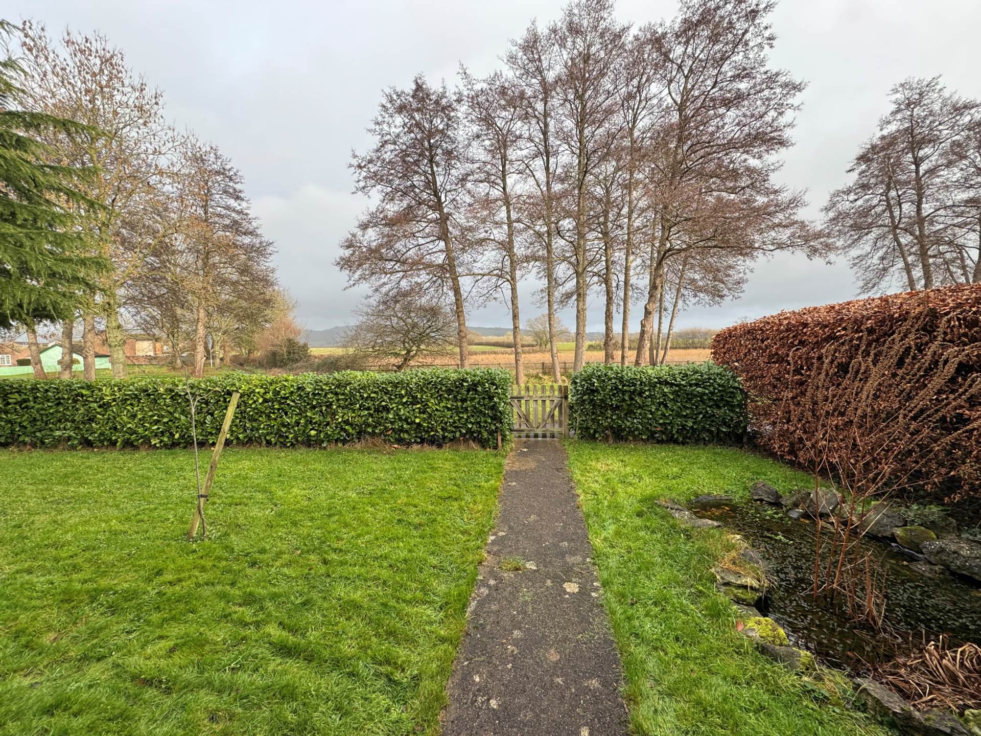 The Leat, Taunton, Image 12