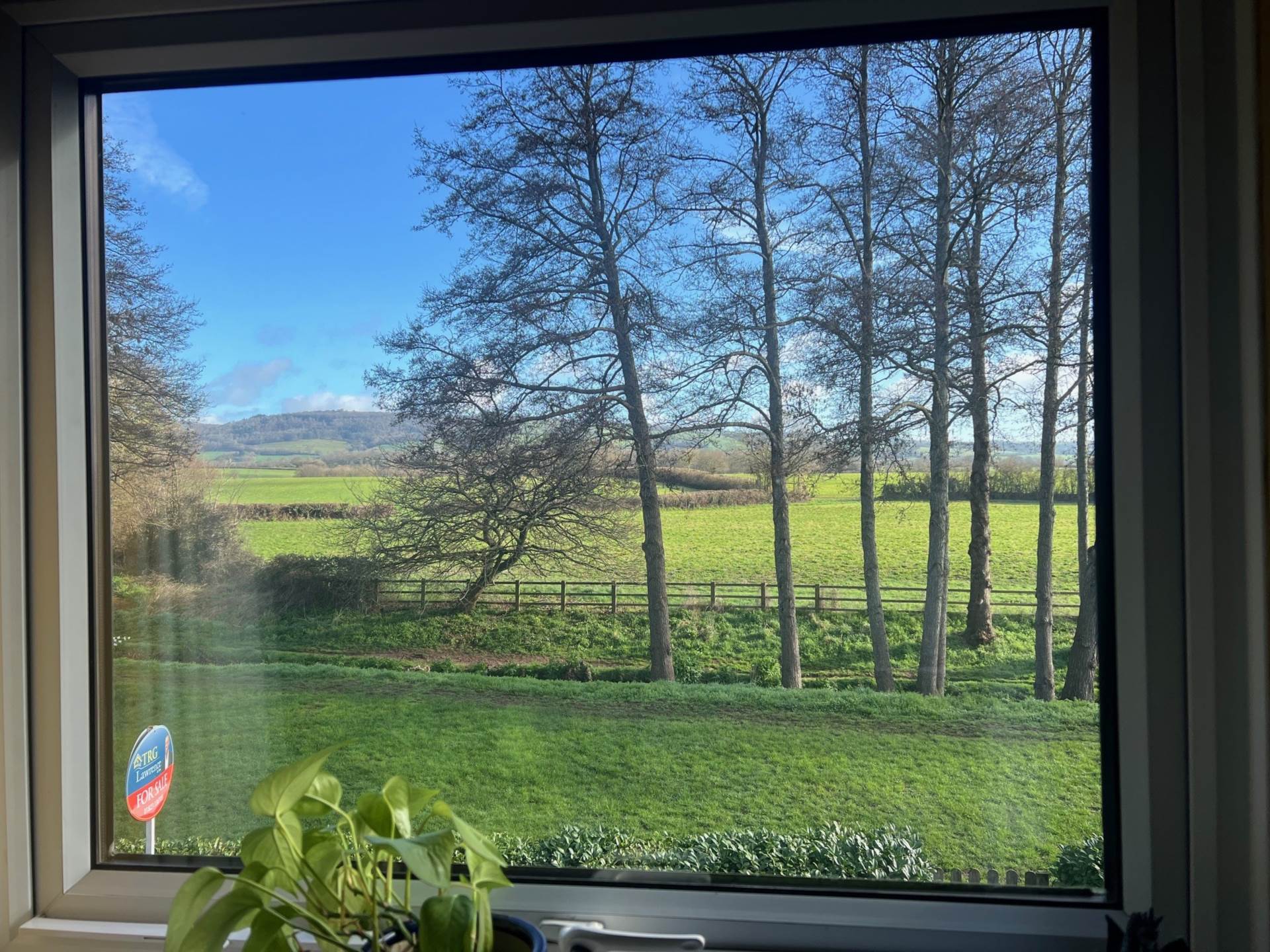 The Leat, Taunton, Image 21