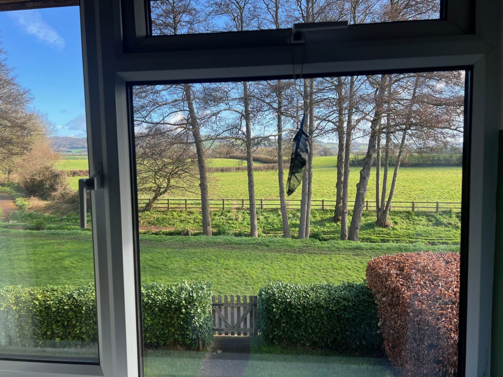 The Leat, Taunton, Image 22