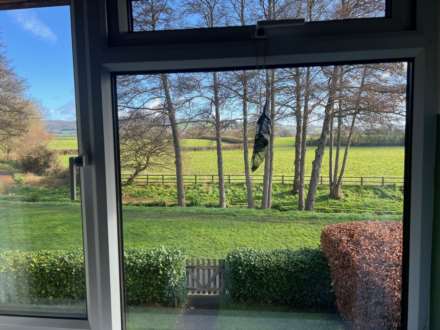 The Leat, Taunton, Image 22