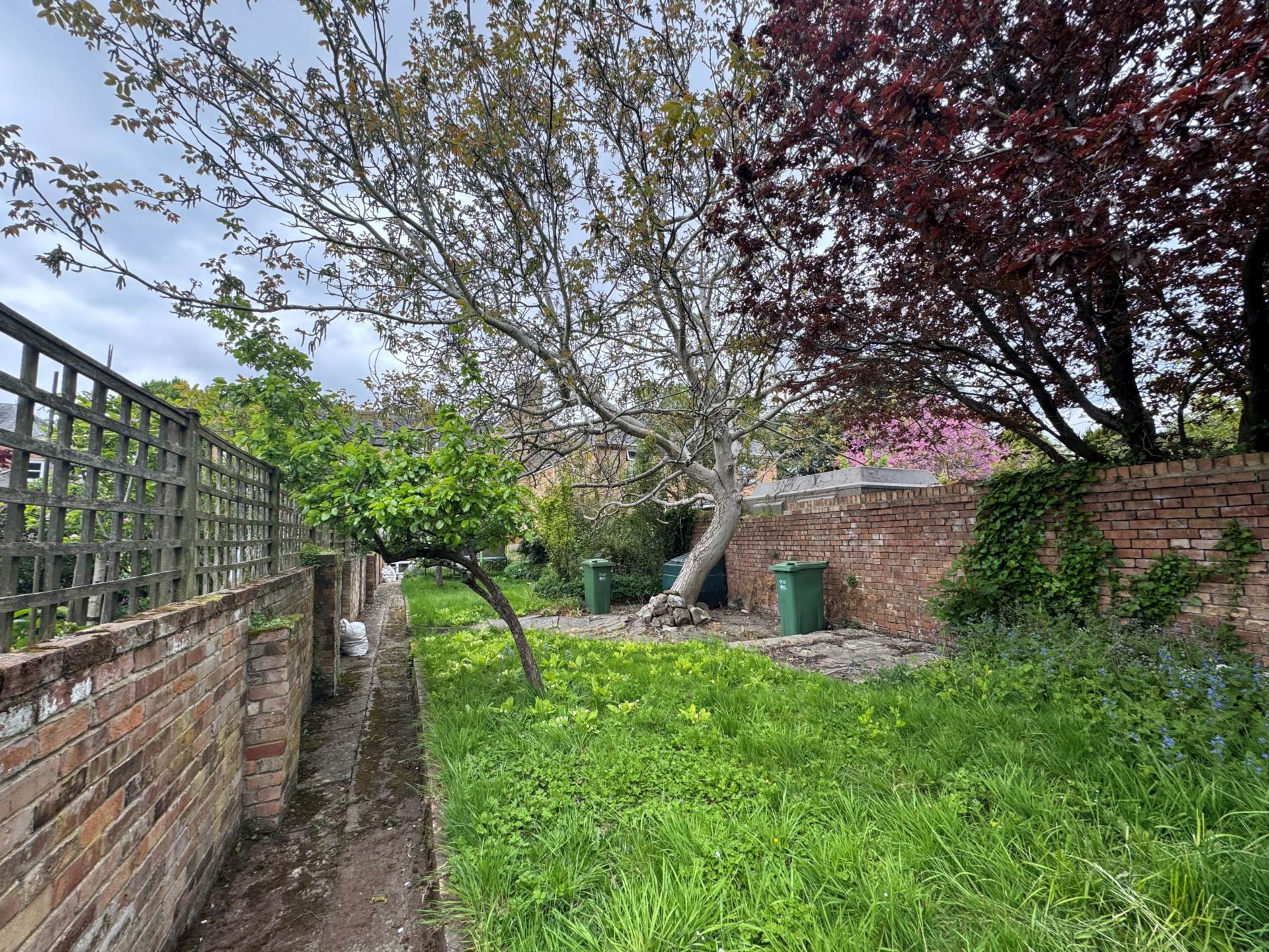 The Avenue, Taunton, Image 17