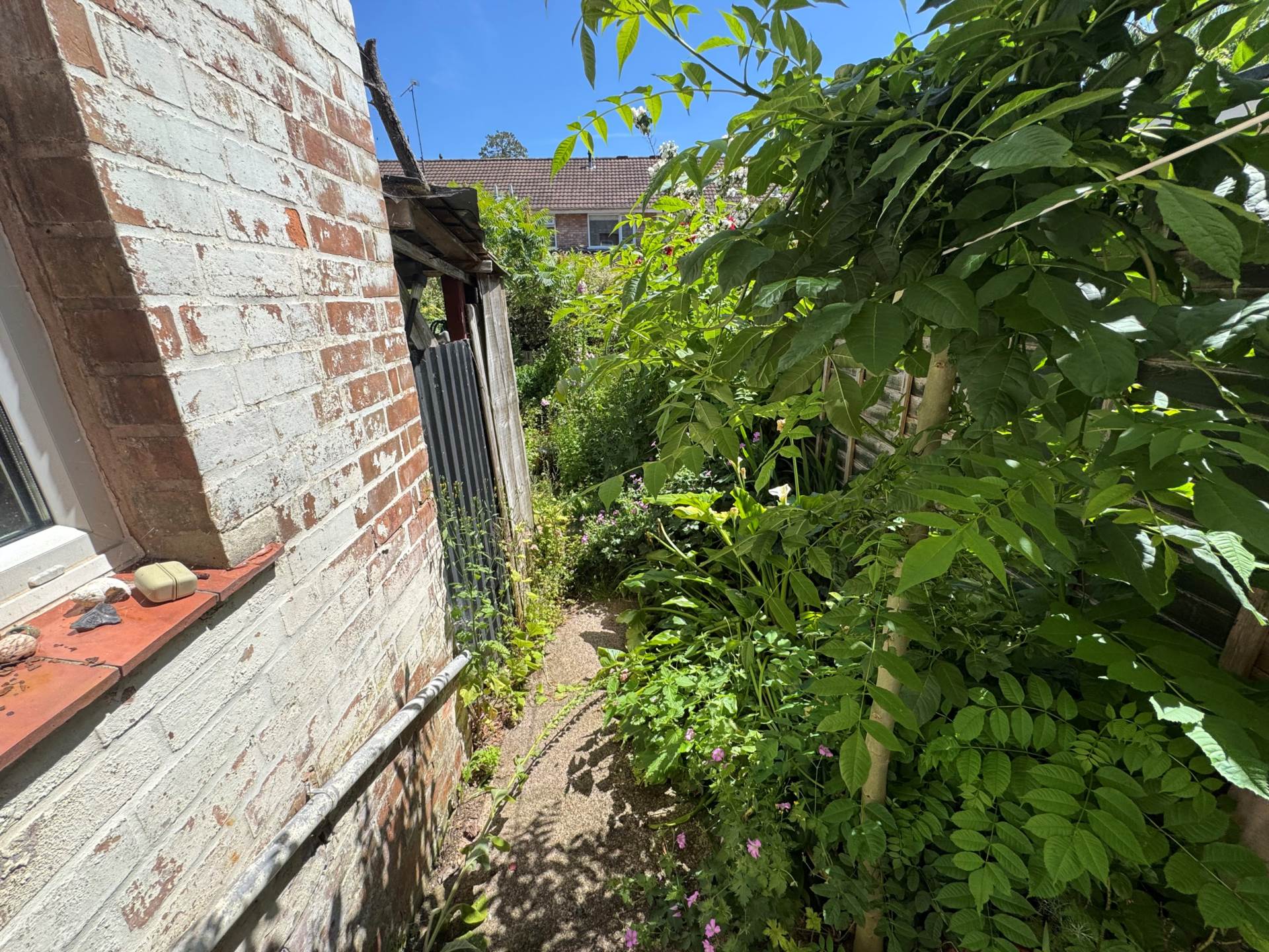 Roseberry Terrace, Taunton, Image 8