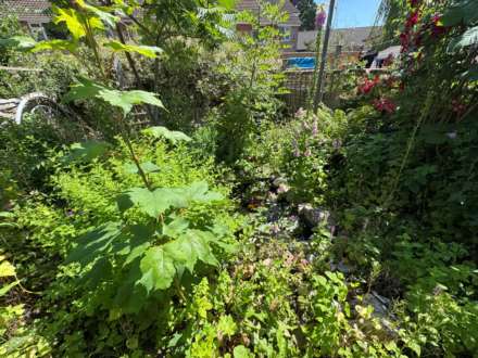 Roseberry Terrace, Taunton, Image 10