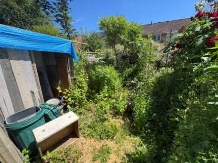 Roseberry Terrace, Taunton, Image 9