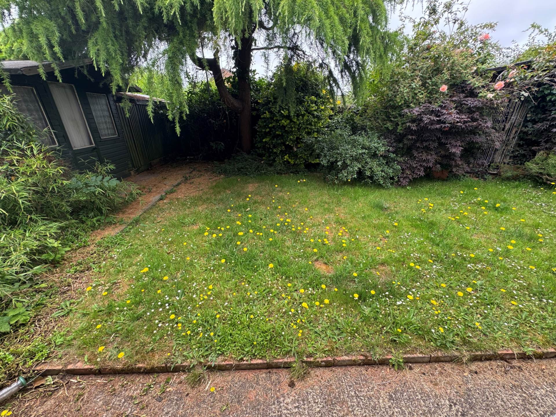 Scott Close, Taunton, Image 12