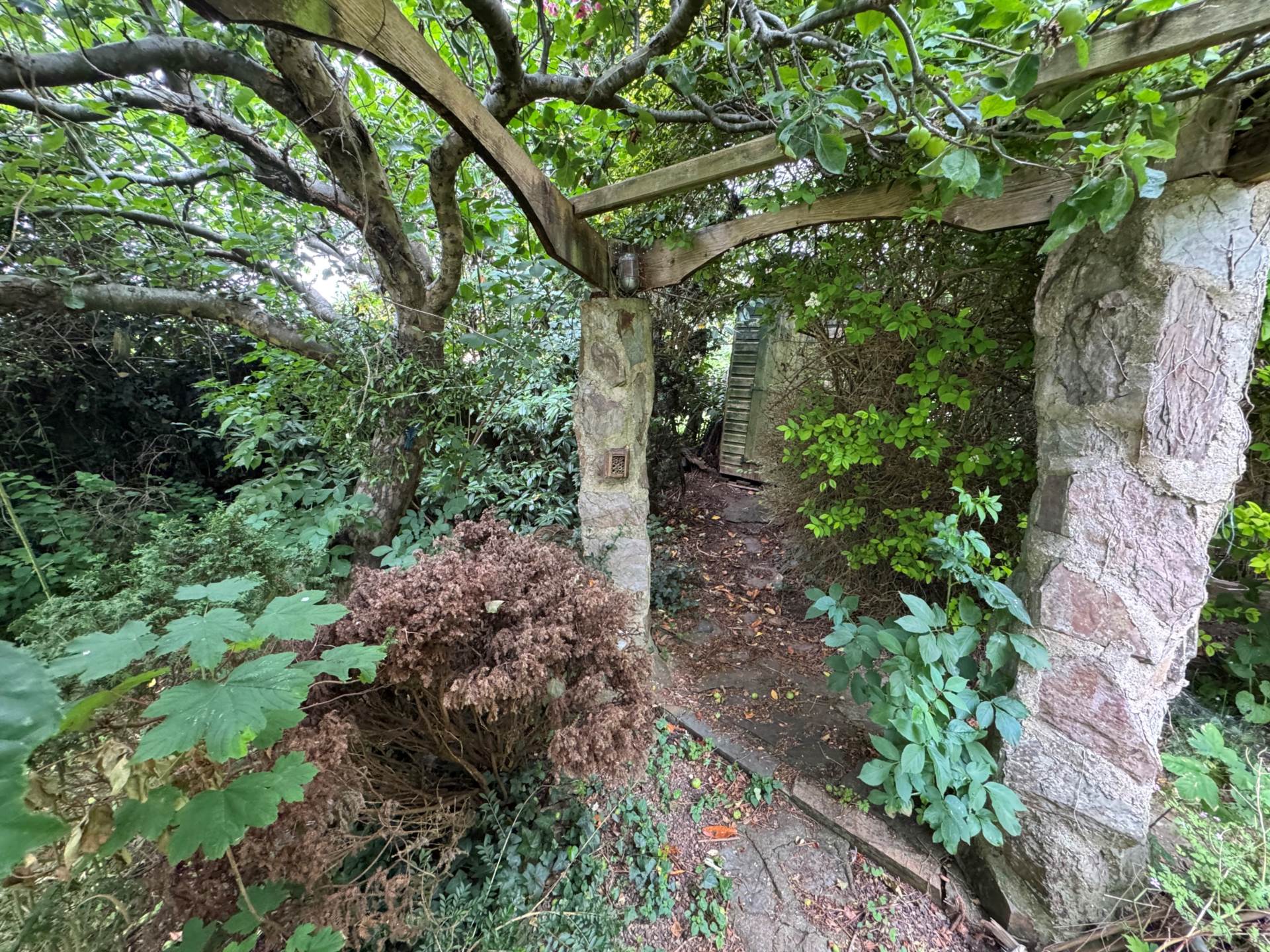 Scott Close, Taunton, Image 14