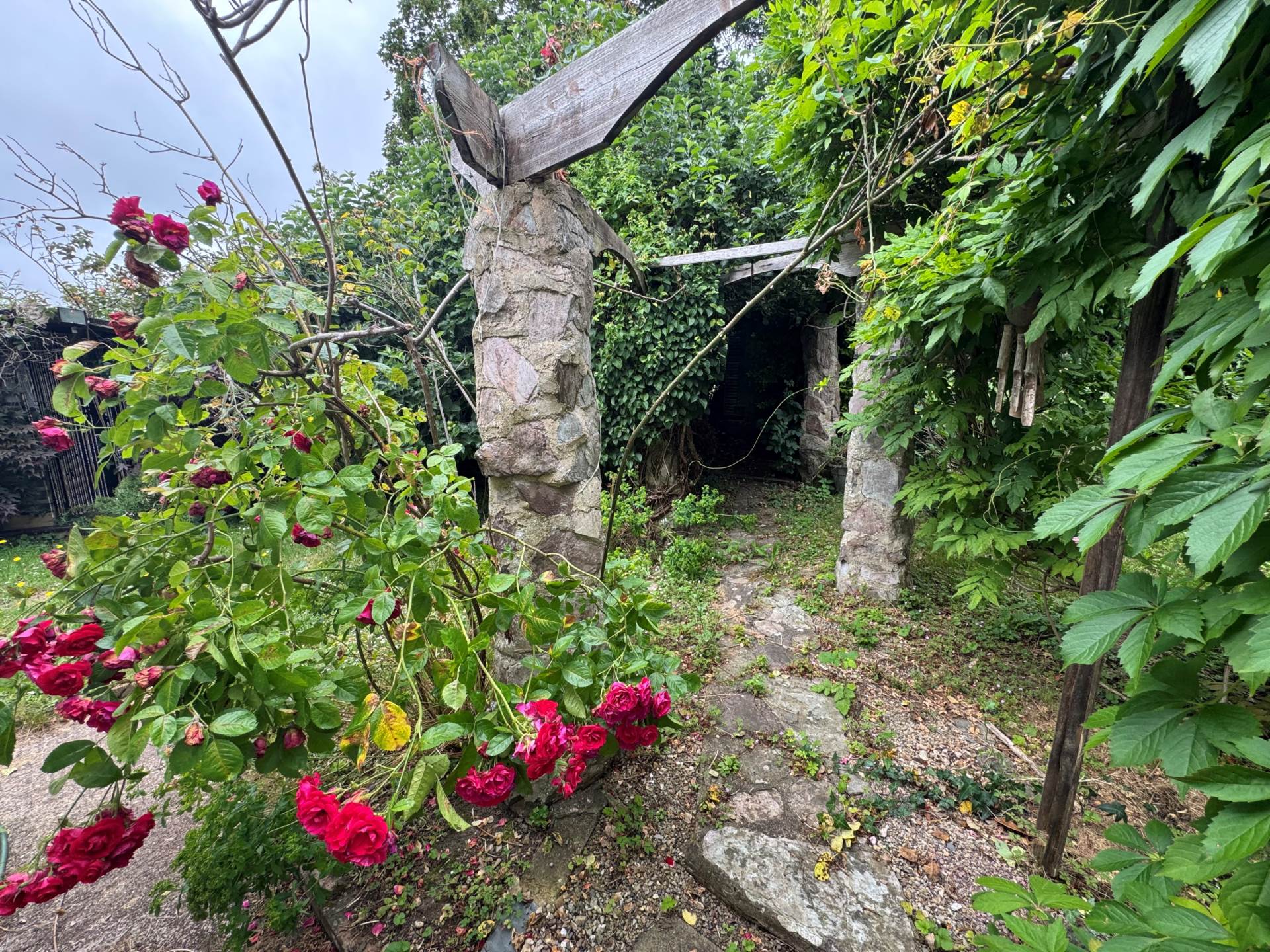 Scott Close, Taunton, Image 15