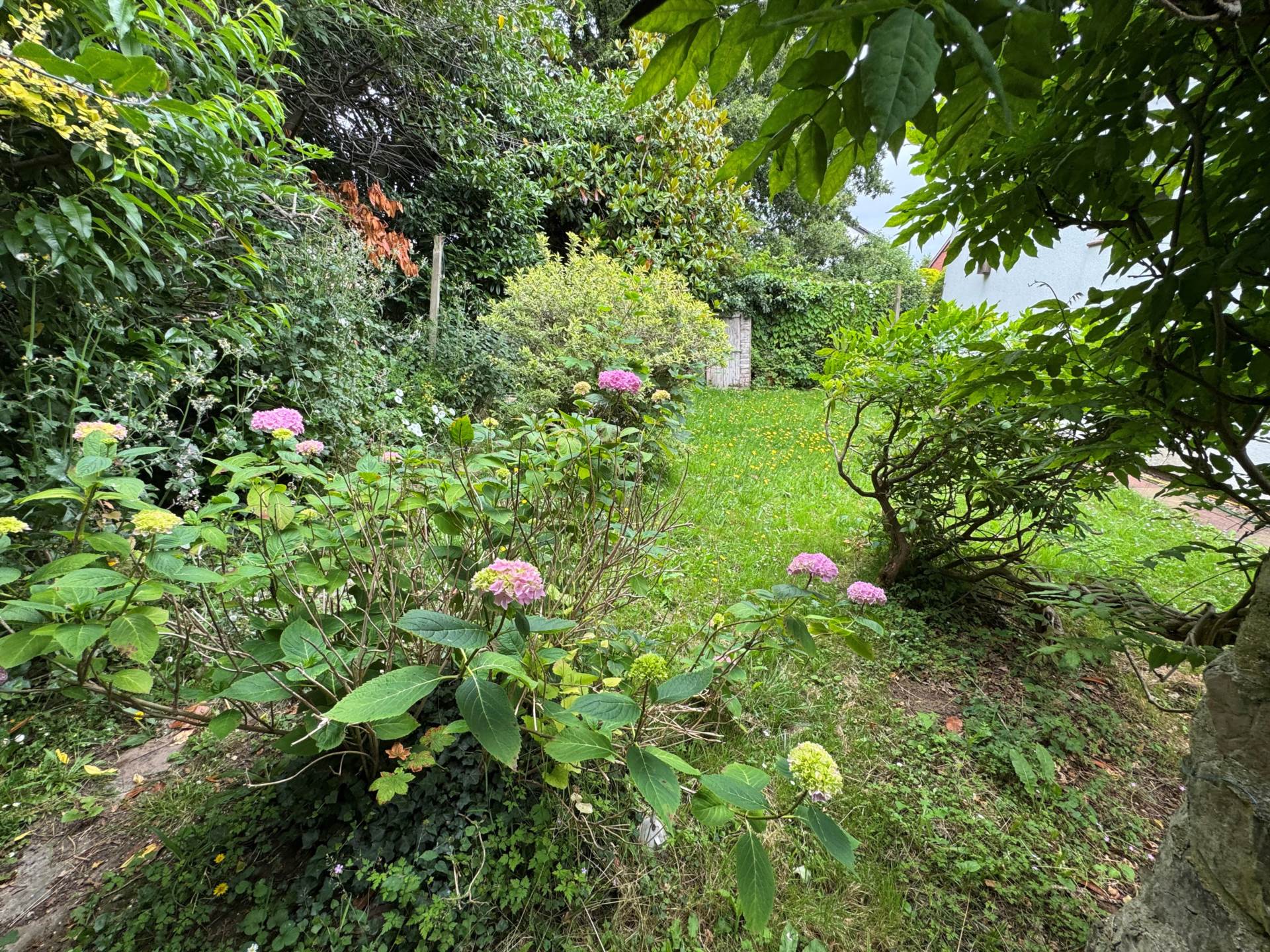 Scott Close, Taunton, Image 16
