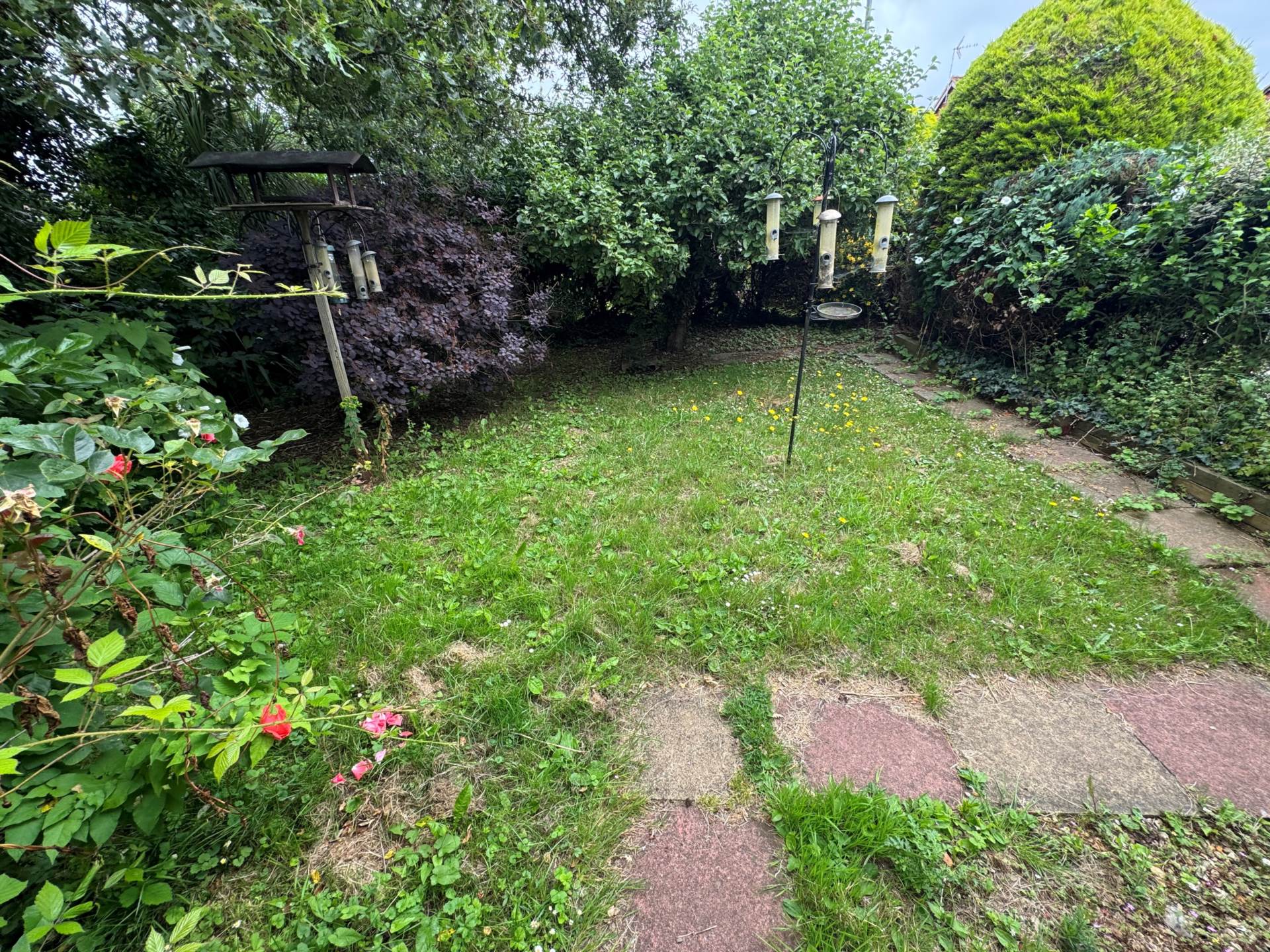 Scott Close, Taunton, Image 18