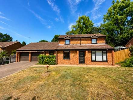 Grove Dreive, Taunton