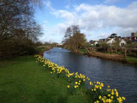 Ham Road, Creech St Michael, Image 27