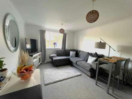 Lime Tree Place, Ipswich, Image 2