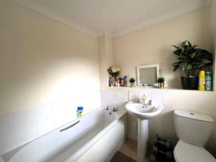 Lime Tree Place, Ipswich, Image 4