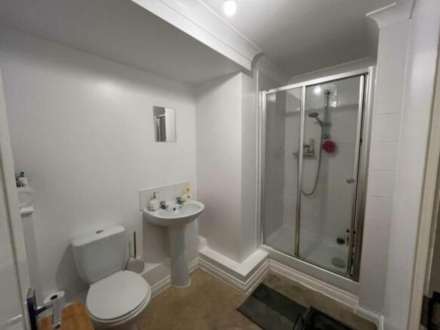 Lime Tree Place, Ipswich, Image 6