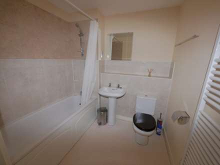 ., Image 5