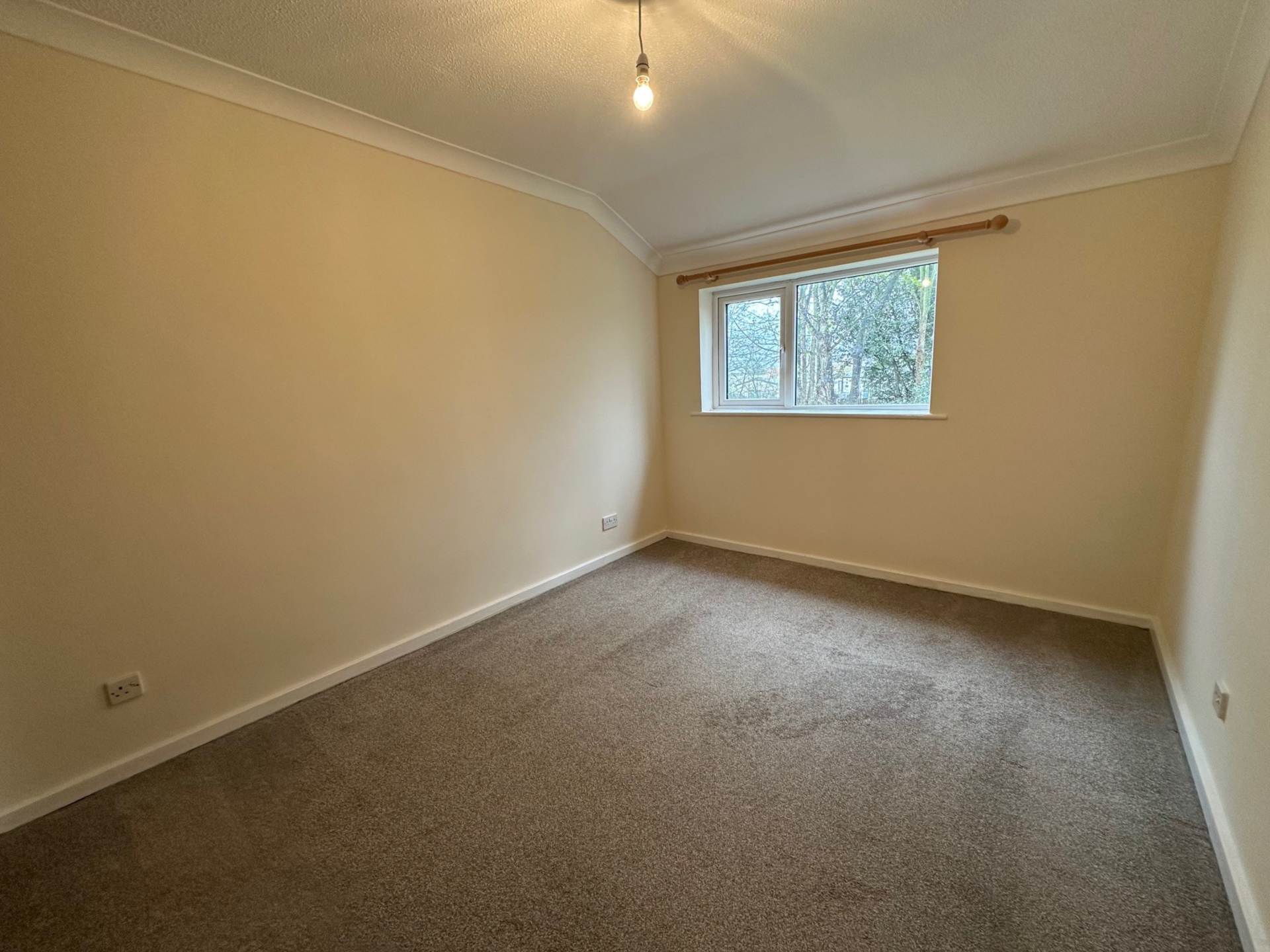 The Plantation, Aldeburgh, Suffolk, Image 6