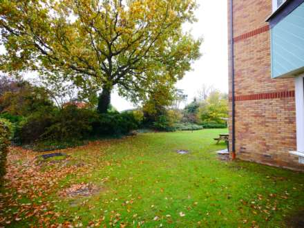 Bignell Croft, Colchester, Image 14