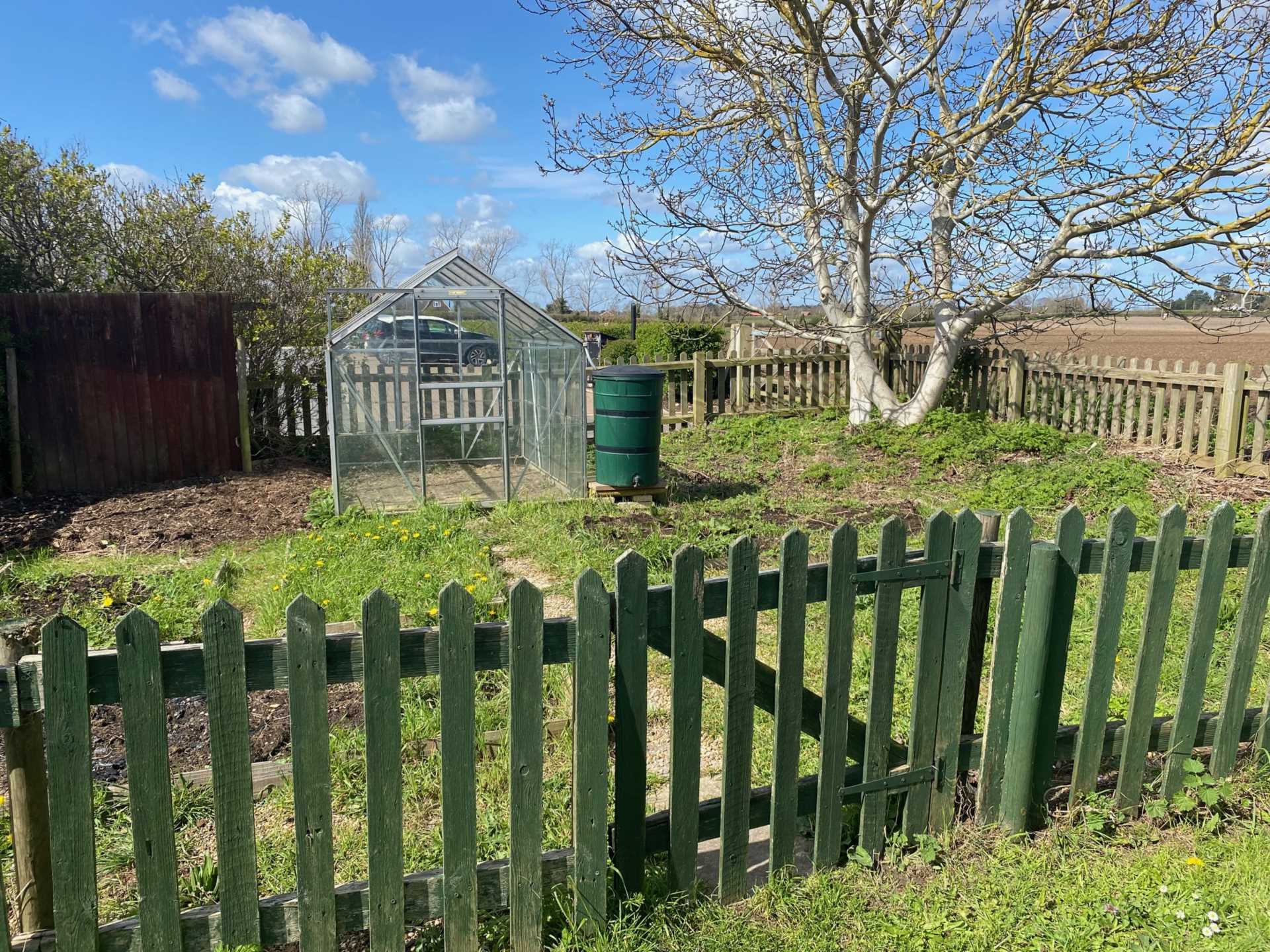 The Street, Shotley, Image 10
