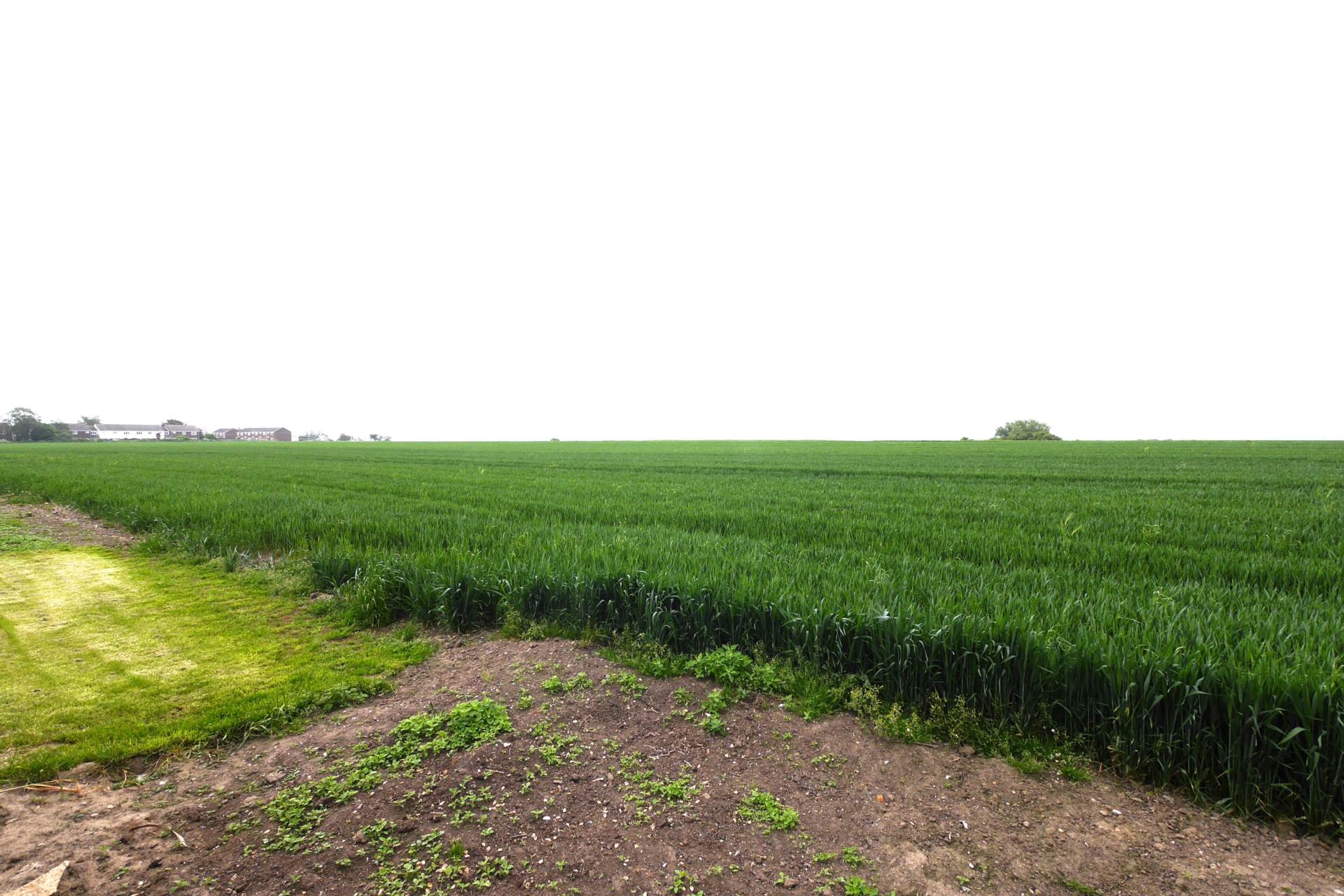 Harwich Road, Little Oakley, Image 16