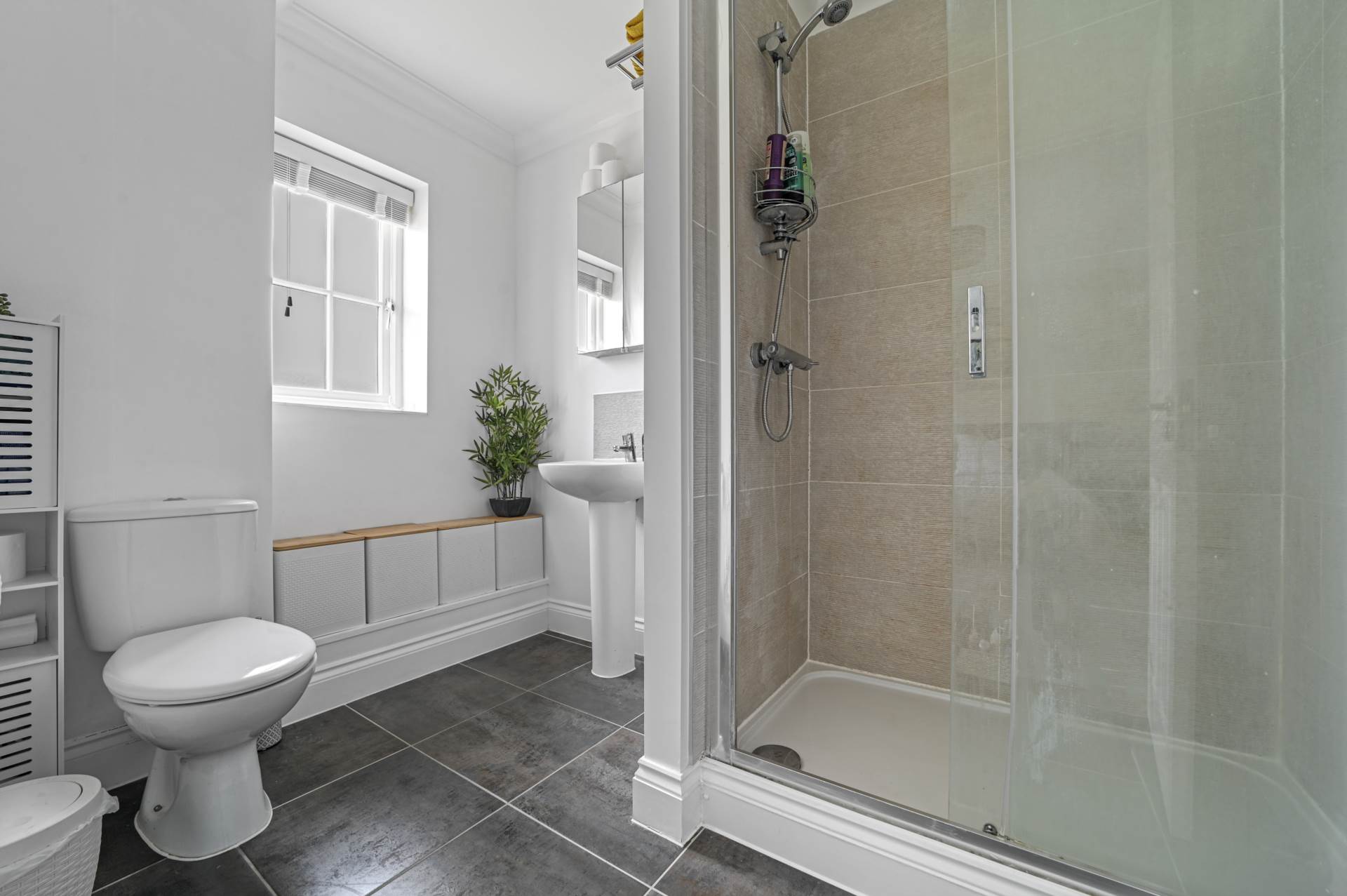 Roe Deer Drive, Saxon Meadow Development. Capel St Mary, Image 16