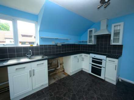 Roundwood Road, Ipswich. IP4 4LY, Image 5